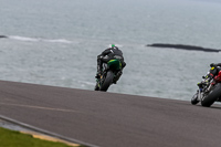 PJ-Motorsport-2019;anglesey-no-limits-trackday;anglesey-photographs;anglesey-trackday-photographs;enduro-digital-images;event-digital-images;eventdigitalimages;no-limits-trackdays;peter-wileman-photography;racing-digital-images;trac-mon;trackday-digital-images;trackday-photos;ty-croes